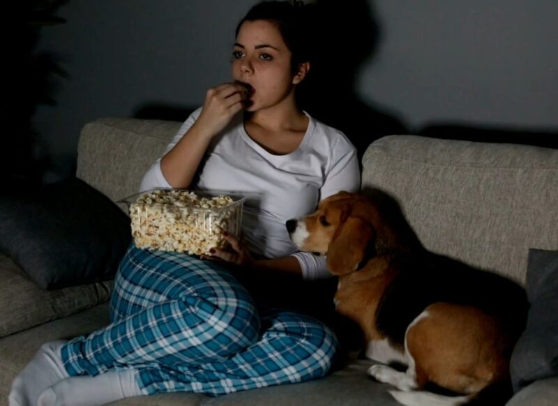 devojka gricka kokice i gleda seriju, sedi na ugaonoj i pas je pored nje