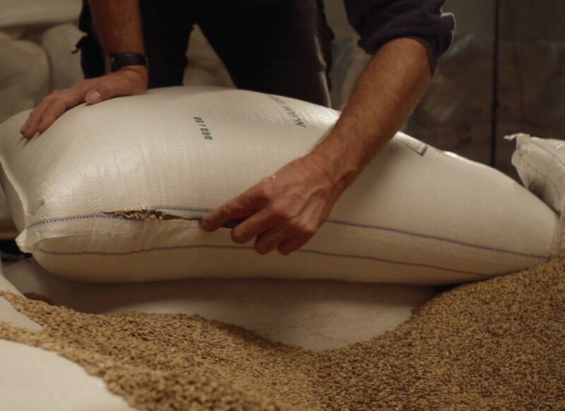 osoba vadi žitarice iz džaka